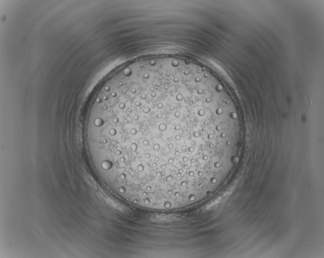 X0000060770835200512082031