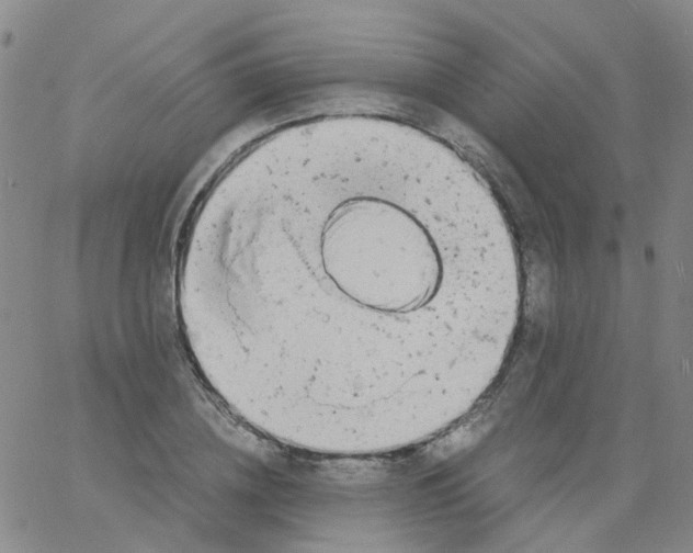 X0000060770836200512082031