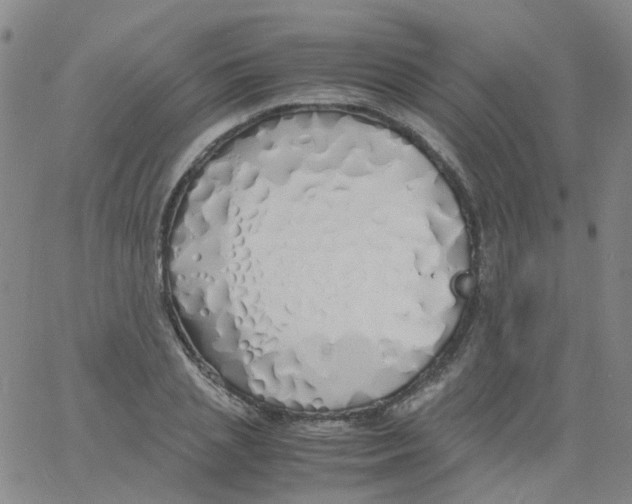 X0000060770837200512082031