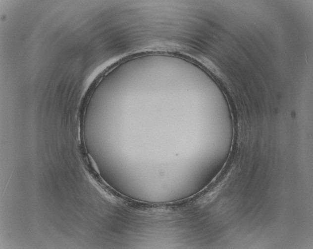 X0000060770838200512082031