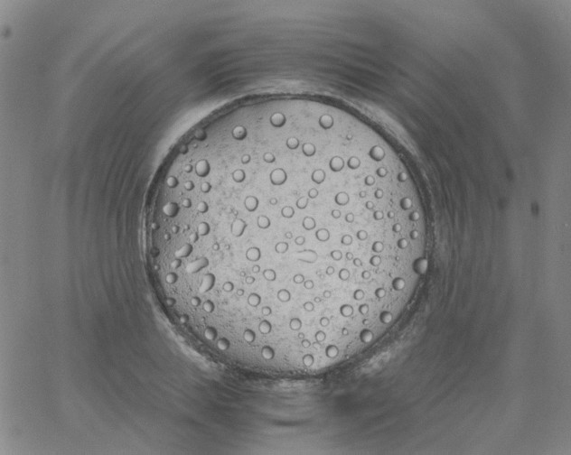 X0000060770839200512082031