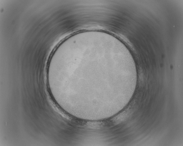 X0000060770840200512082031