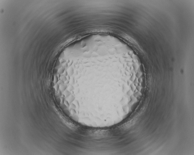 X0000060770841200512082031