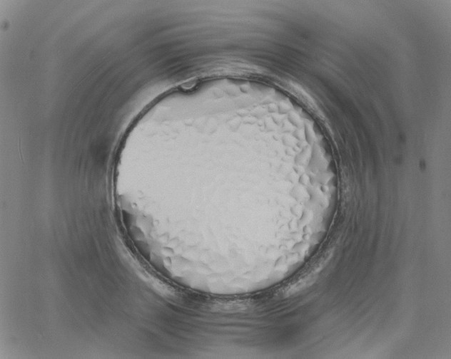 X0000060770843200512082031