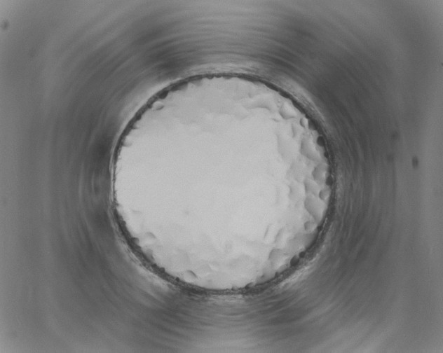 X0000060770844200512082031