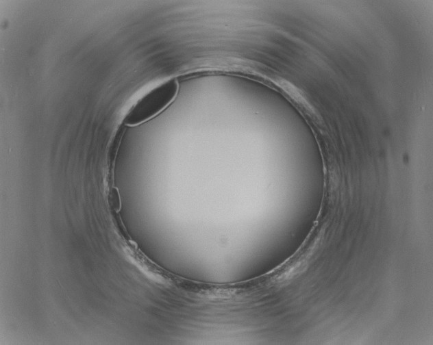 X0000060770846200512082031