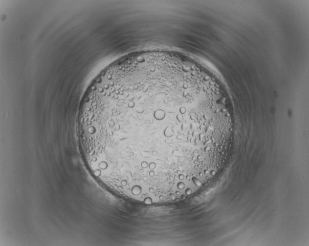 X0000060770847200512082031