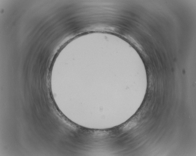 X0000060770848200512082031