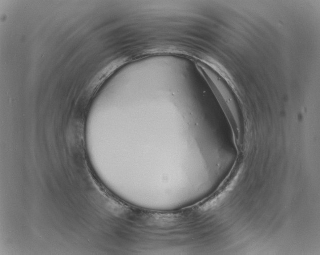 X0000060770849200512082031