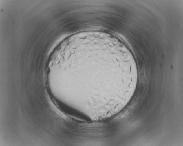 X0000060770851200512082031