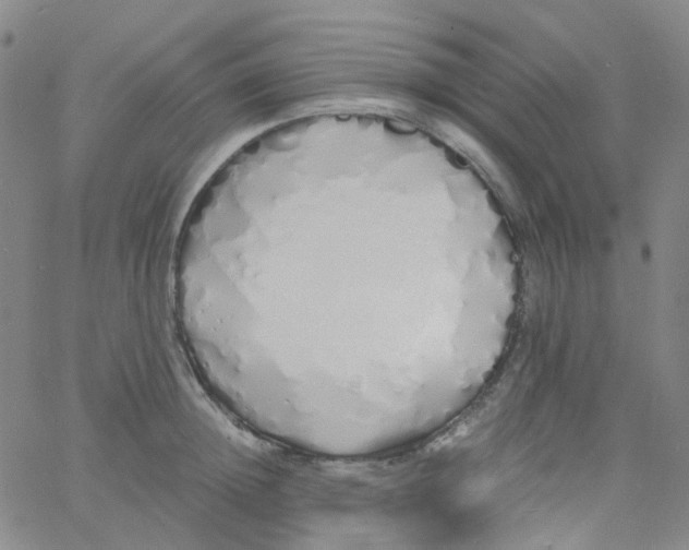 X0000060770852200512082032