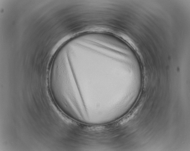 X0000060770853200512082032