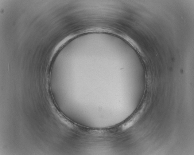 X0000060770854200512082032