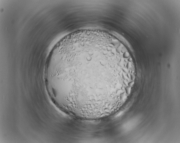 X0000060770855200512082032