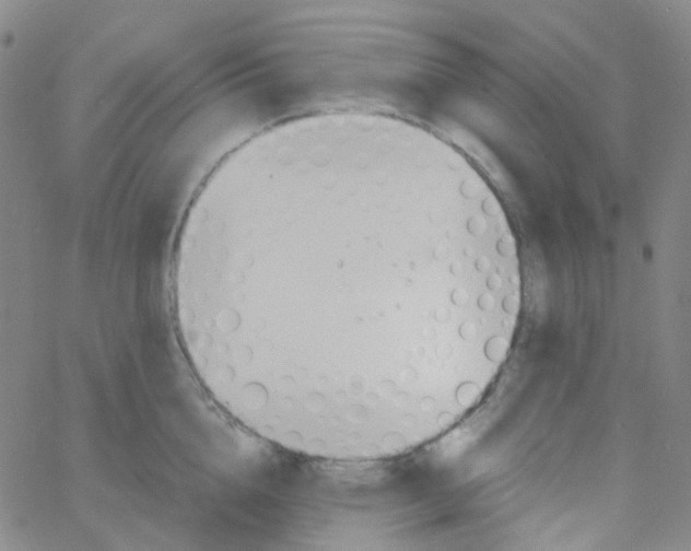 X0000060770856200512082032