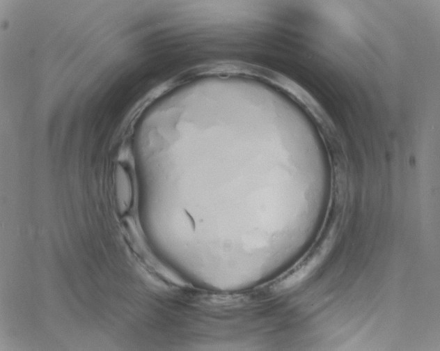 X0000060770857200512082032