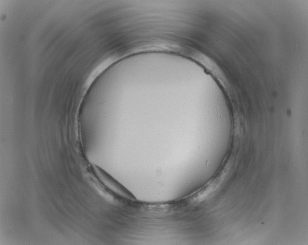 X0000060770858200512082032