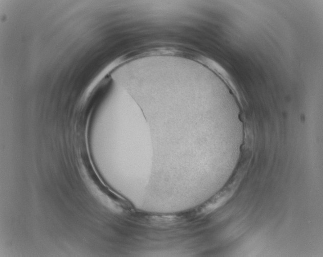 X0000060770859200512082032