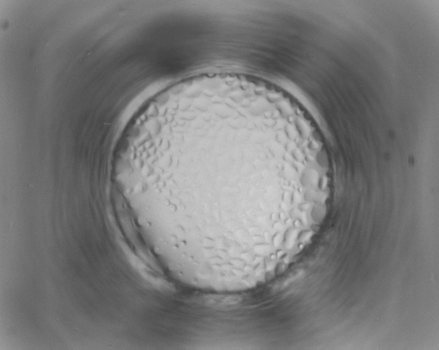 X0000060770861200512082032