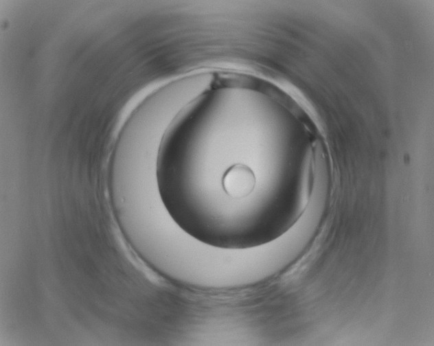 X0000060770862200512082032