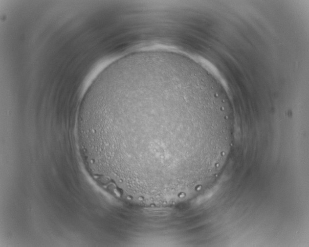 X0000060770863200512082032