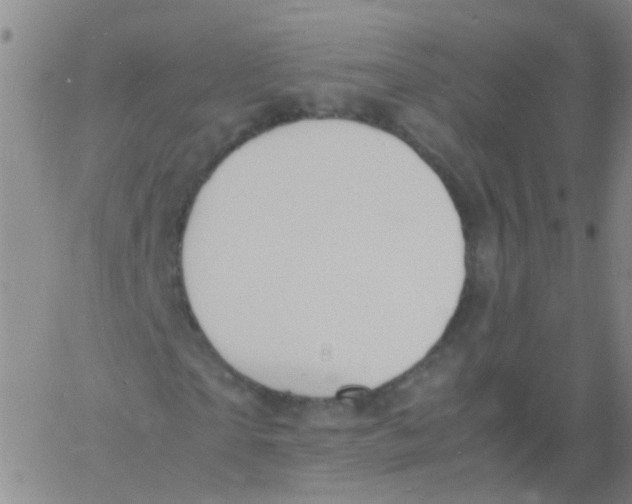 X0000060770865200512082031