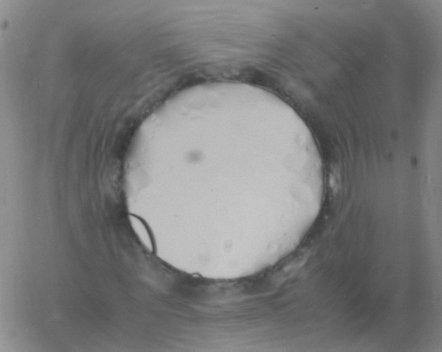 X0000060770867200512082031