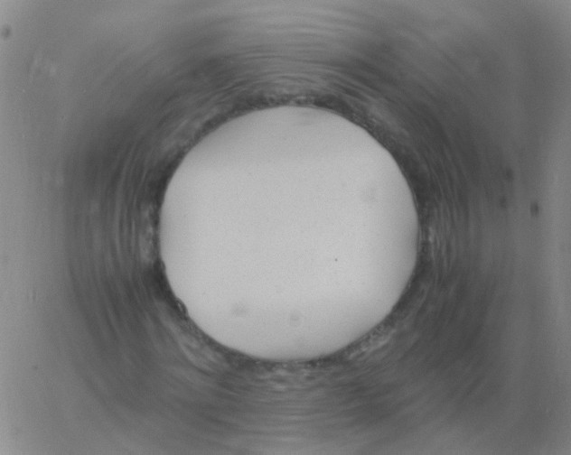 X0000060770868200512082031