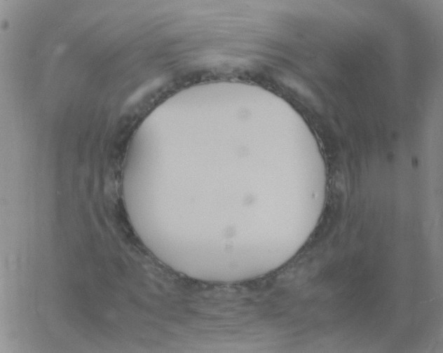 X0000060770869200512082031