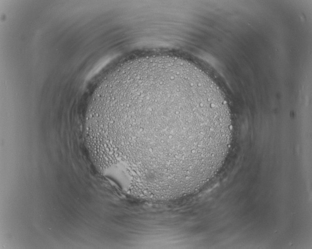 X0000060770871200512082031