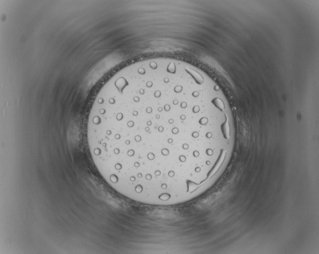 X0000060770874200512082031