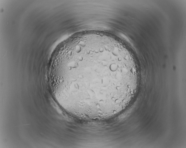 X0000060770875200512082031