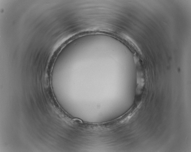 X0000060770876200512082031