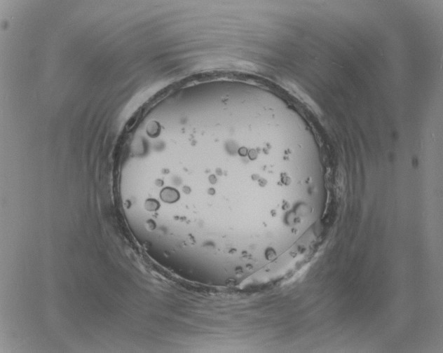 X0000060770877200512082031