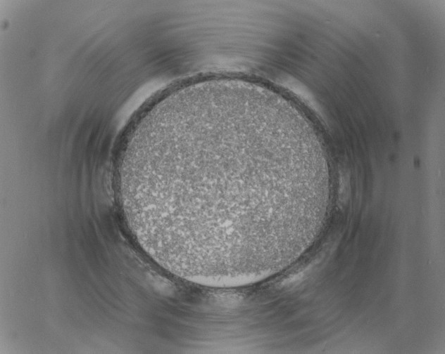 X0000060770878200512082031