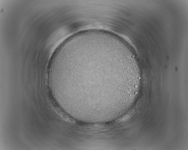 X0000060770879200512082031