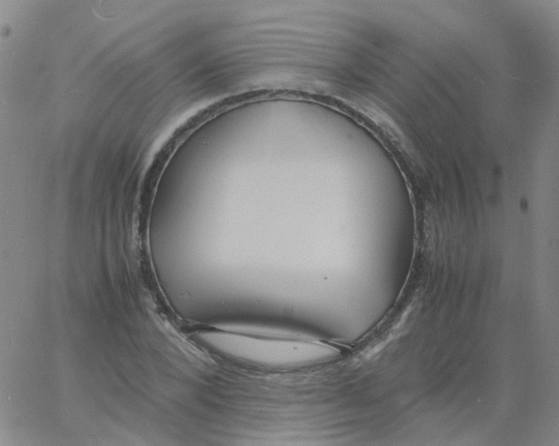 X0000060770880200512082031