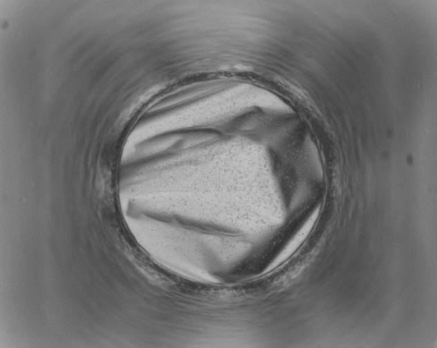 X0000060770881200512082031