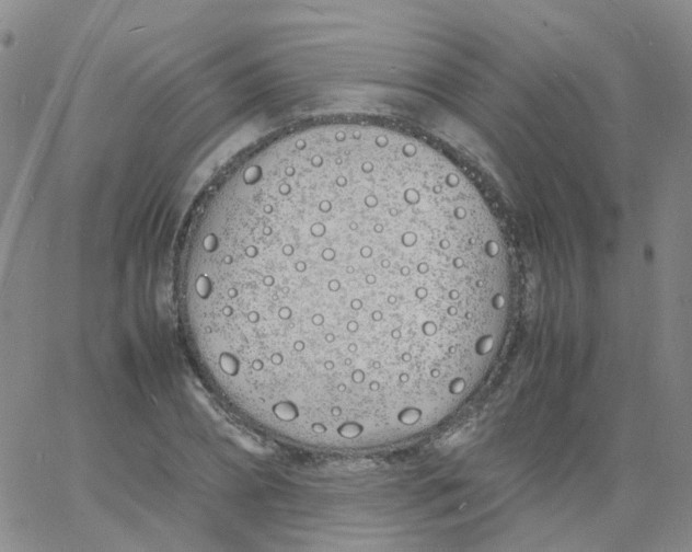 X0000060770882200512082031