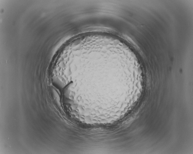 X0000060770883200512082031