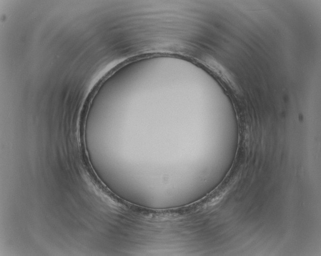 X0000060770884200512082031