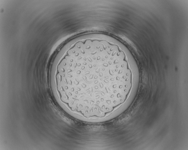 X0000060770886200512082031