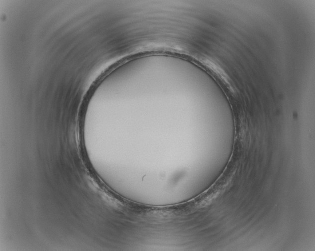 X0000060770888200512082031