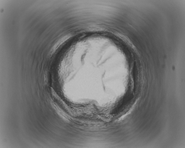 X0000060770889200512082030