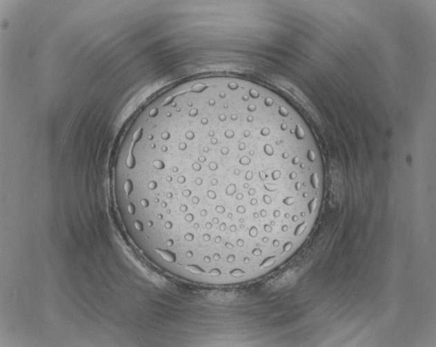 X0000060770890200512082030