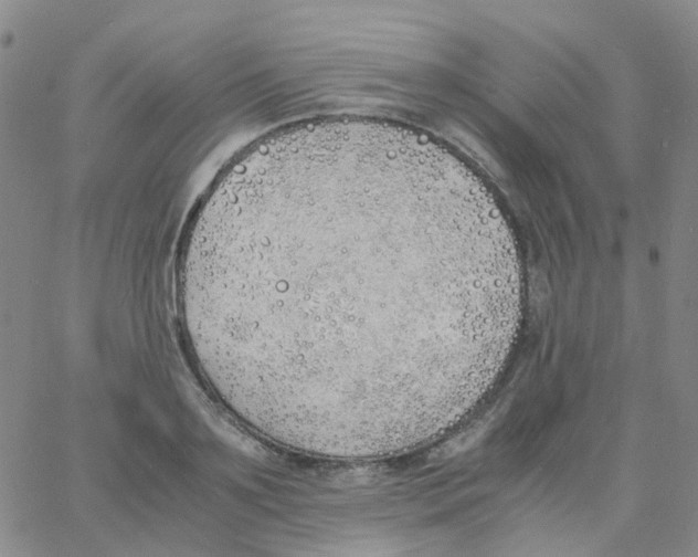 X0000060770891200512082030