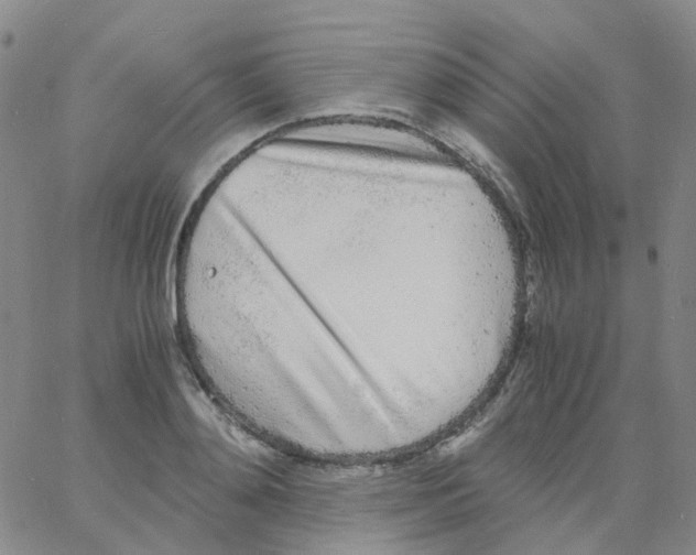 X0000060770892200512082030