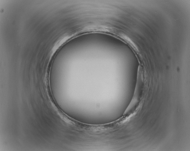 X0000060770893200512082030