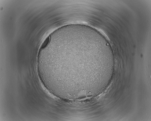 X0000060770895200512082030