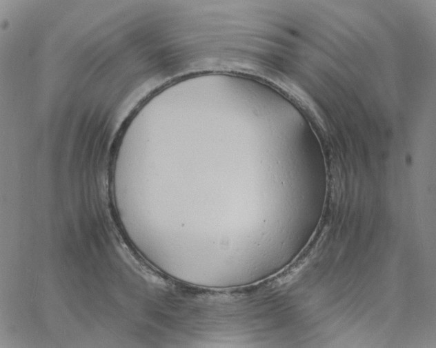 X0000060770896200512082030